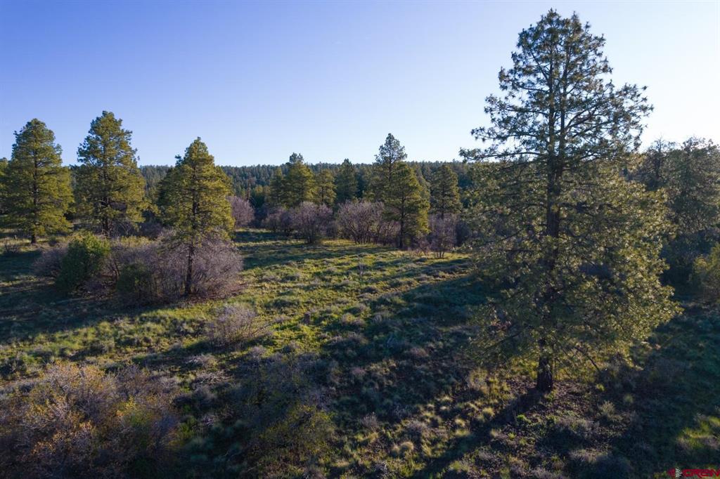 592 Ranchland Drive