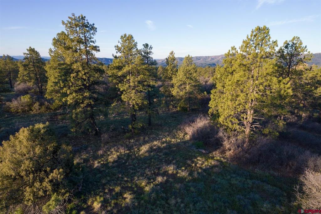 592 Ranchland Drive