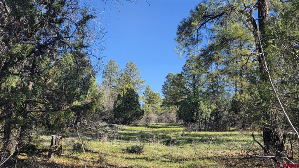 592 Ranchland Drive