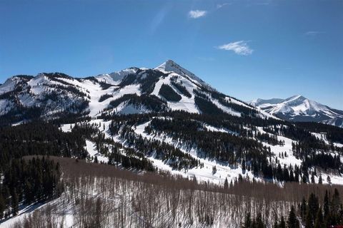E23 Prospect Drive Mt. Crested Butte CO 81225