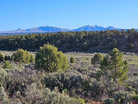 1177 COUNTY ROAD 119A, HESPERUS, CO 81326 - Image 77bcb1c722cd81f21c8fbaf835be012a/952807166