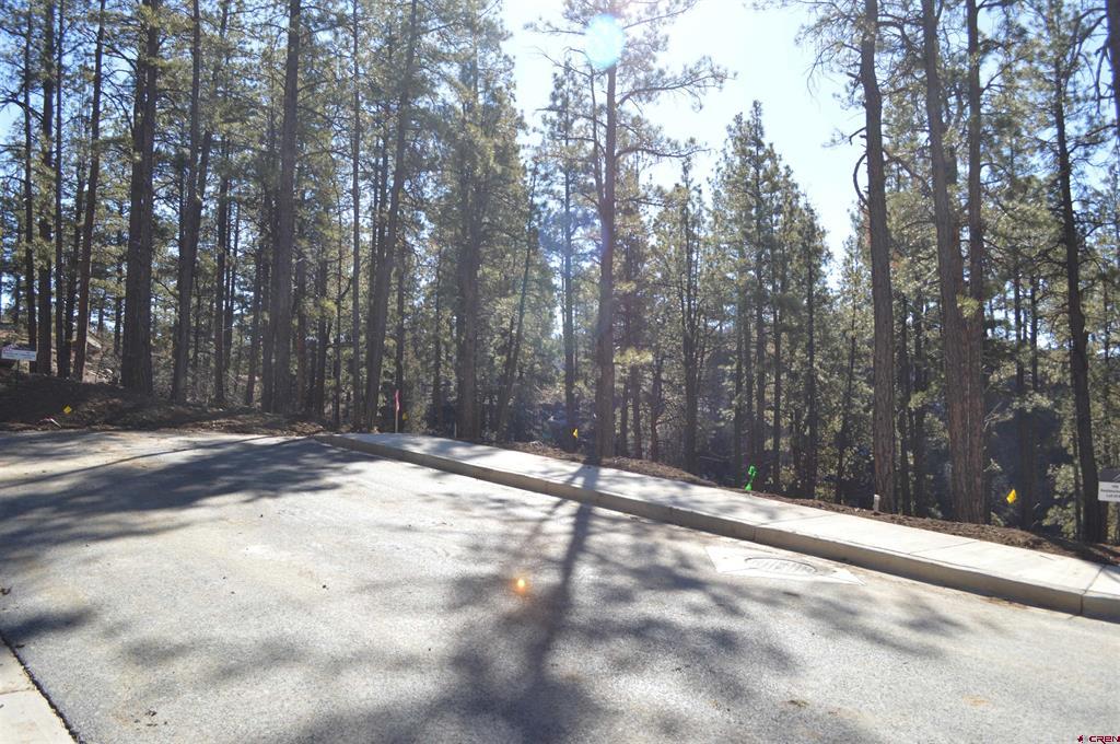 108 Avalanche Lily Dr. (Lot 134)