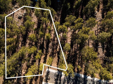 108 Avalanche Lily Dr. (Lot 134) Durango CO 81301