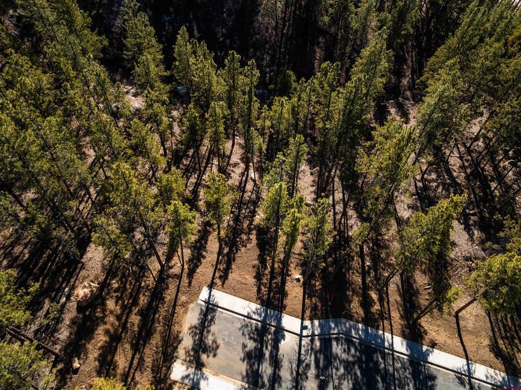 108 Avalanche Lily Dr. (Lot 134)