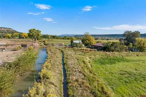 2597 County Road 213 Durango CO 81303