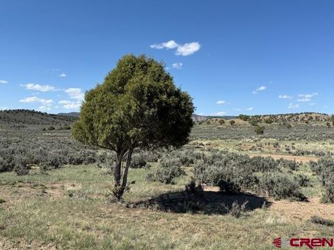 X Rockcliff Circle Pagosa Springs CO 81147