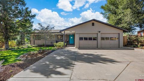 1433 Jay's Avenue Rifle CO 81650