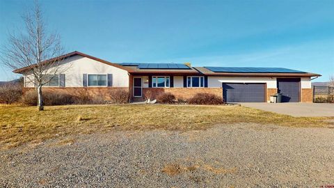 Photo of 39865 Nelson Road, Paonia, CO 81428 (MLS # 830695)