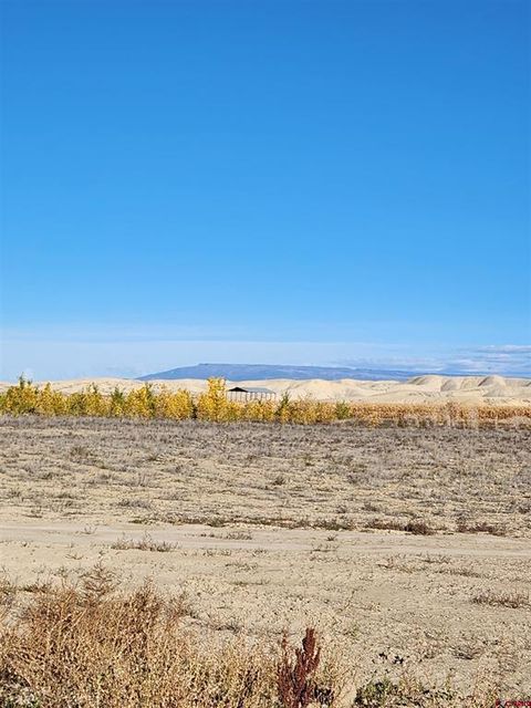 Photo of 2 Peach Valley Road, Montrose, CO 81403 (MLS # 829563)
