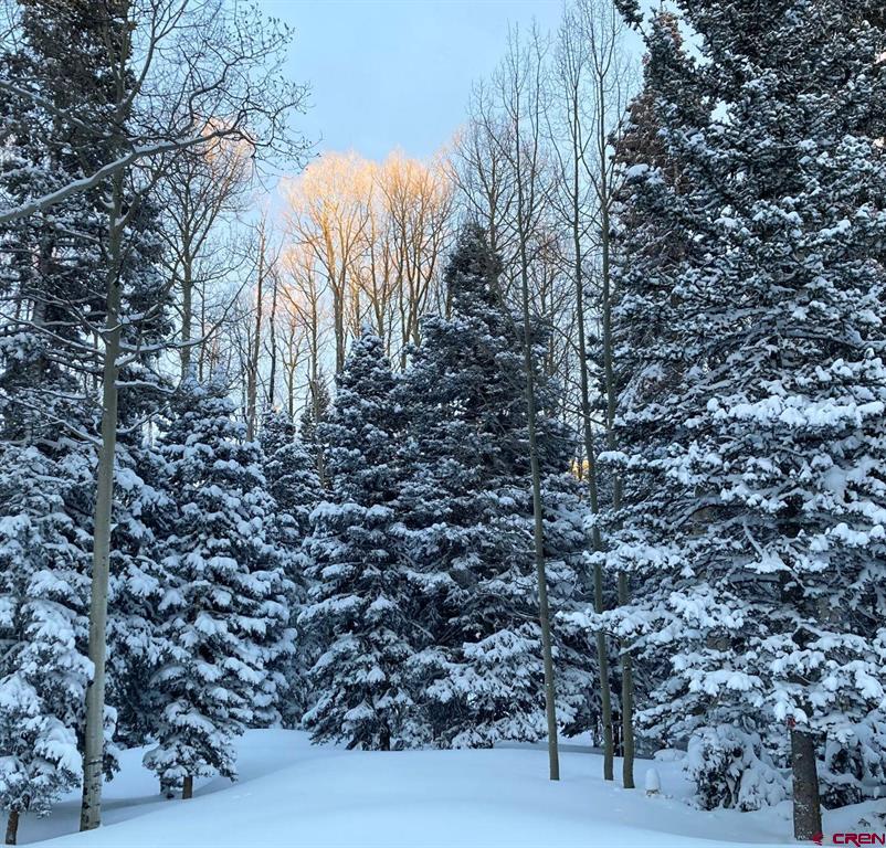 191 Aspen Trail