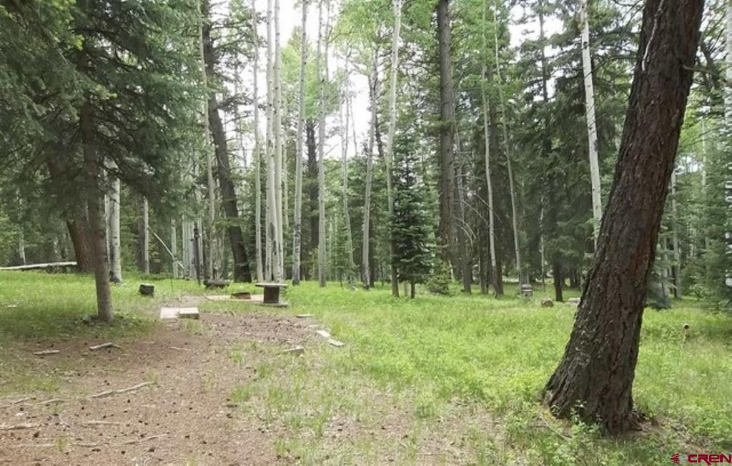 191 Aspen Trail