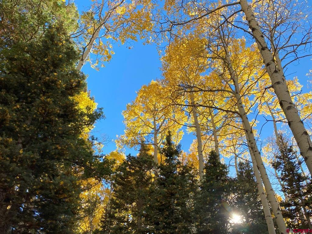 191 Aspen Trail
