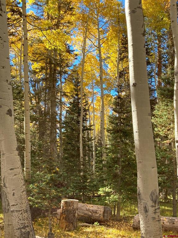 191 Aspen Trail