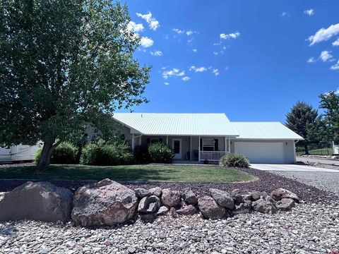 Photo of 950 SE Deer Creek Drive, Cedaredge, CO 81413 (MLS # 833005)
