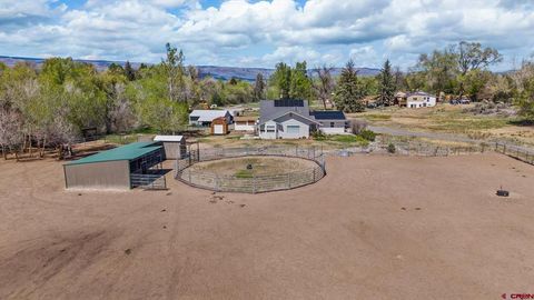 Photo of 21935 Oatman Road, Eckert, CO 81418 (MLS # 833714)
