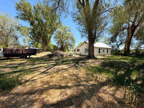 Photo of 5274 5700 Road, Olathe, CO 81425 (MLS # 834745)