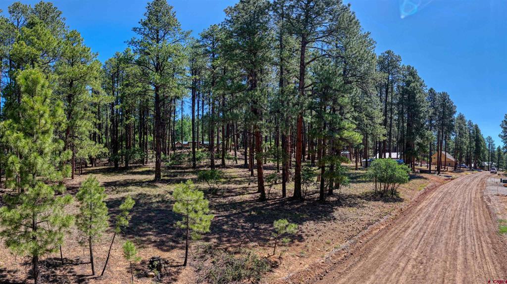 Photo 1 of 24 — 79 Spruce Way, Bayfield, CO 81122