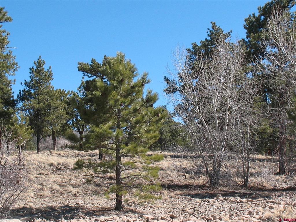 190 Church Creek Circle