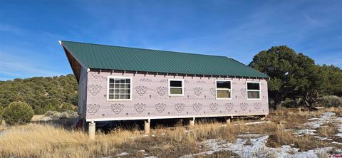 1702 Teirnan Dr Fort  Garland CO 81133