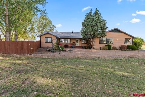 Photo of 61393 Niagara Road, Montrose, CO 81403 (MLS # 834205)