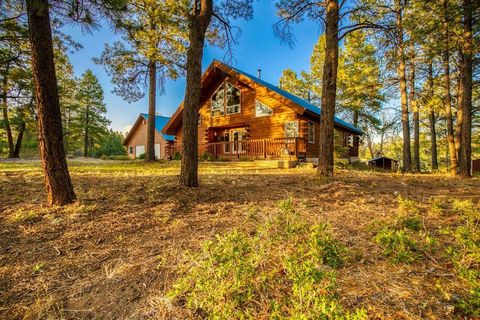 367 Oren Road Pagosa Springs CO 81147