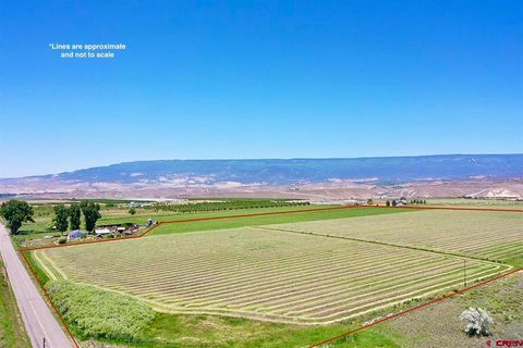 Photo of TBD North Road, Hotchkiss, CO 81419 (MLS # 830449)