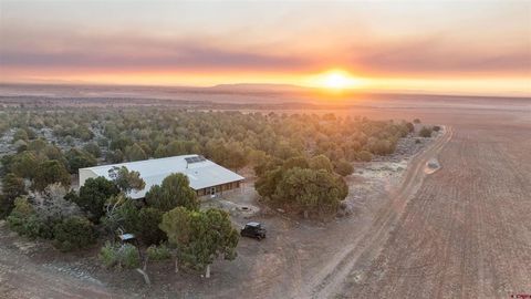 TBDWP2 County Road 106 Hesperus CO 81326