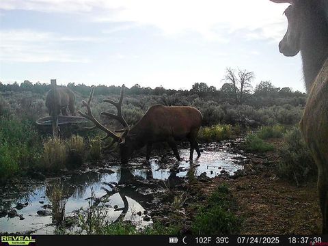 TBDWP2 County Road 106 Hesperus CO 81326