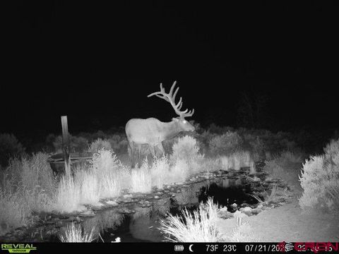 TBDWP2 County Road 106 Hesperus CO 81326