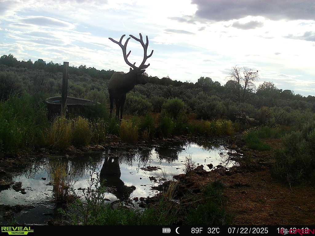 TBDWP2 County Road 106