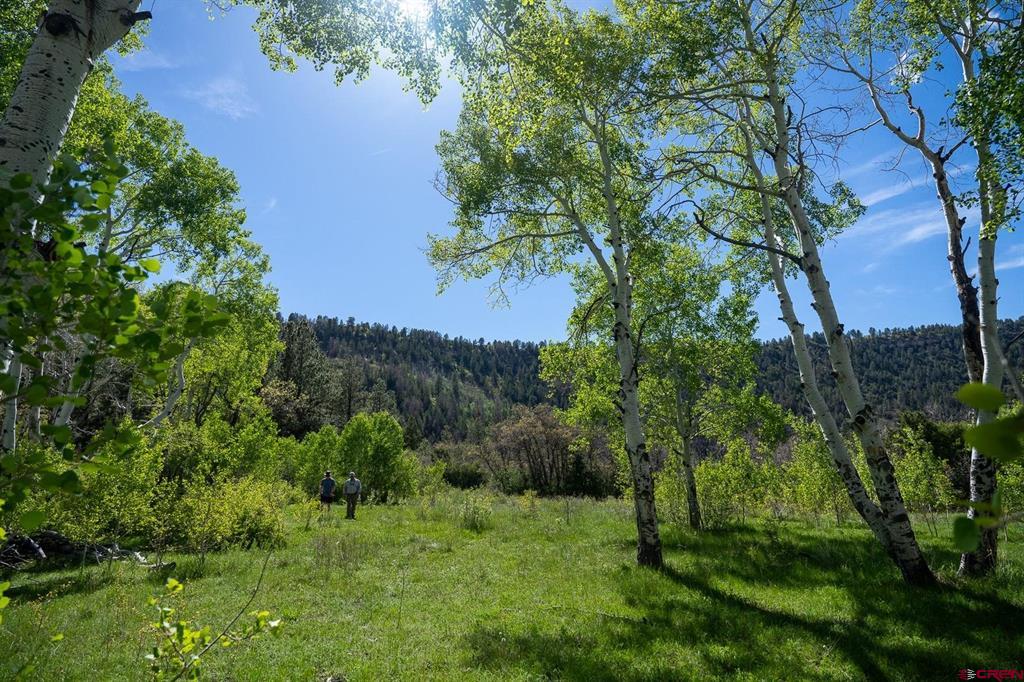 TBD M44, SMR Tract 13-5