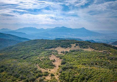 18965 Johnson Road Paonia CO 81428