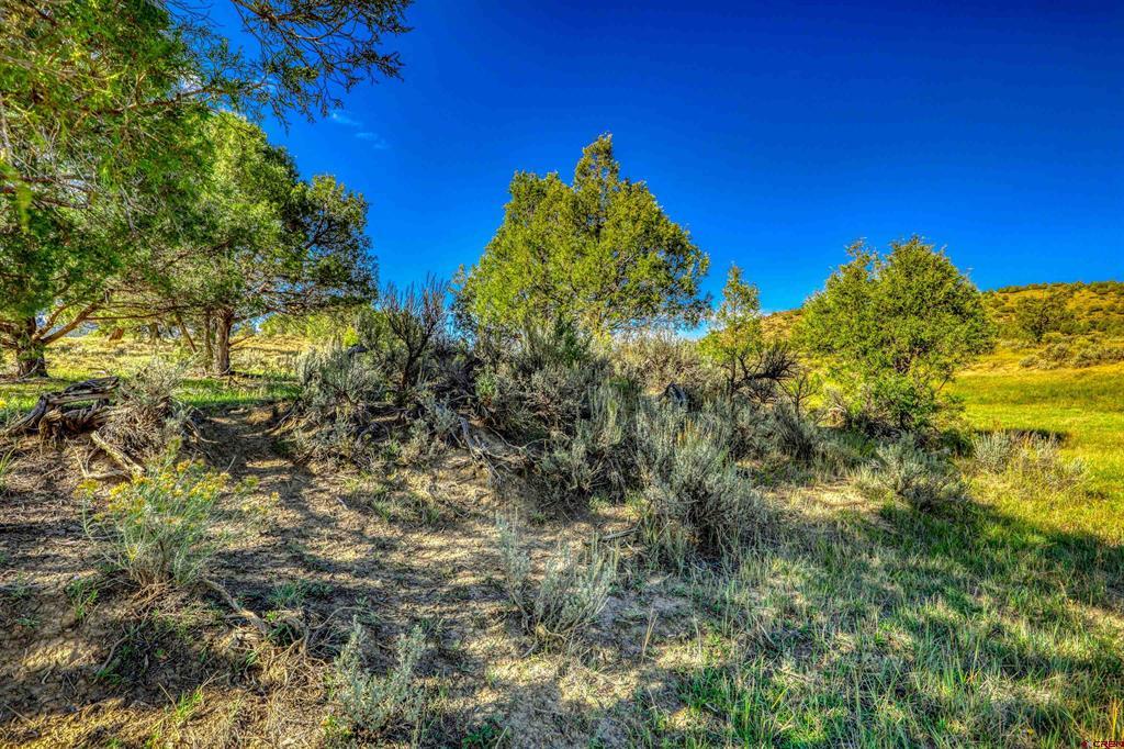 X Tall Pines Place