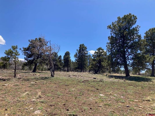 ADDRESS PRIVATE, PLACERVILLE, CO 81430 - Image 7e03feb1829f69bc8d0bac28fdb500eb/846937225