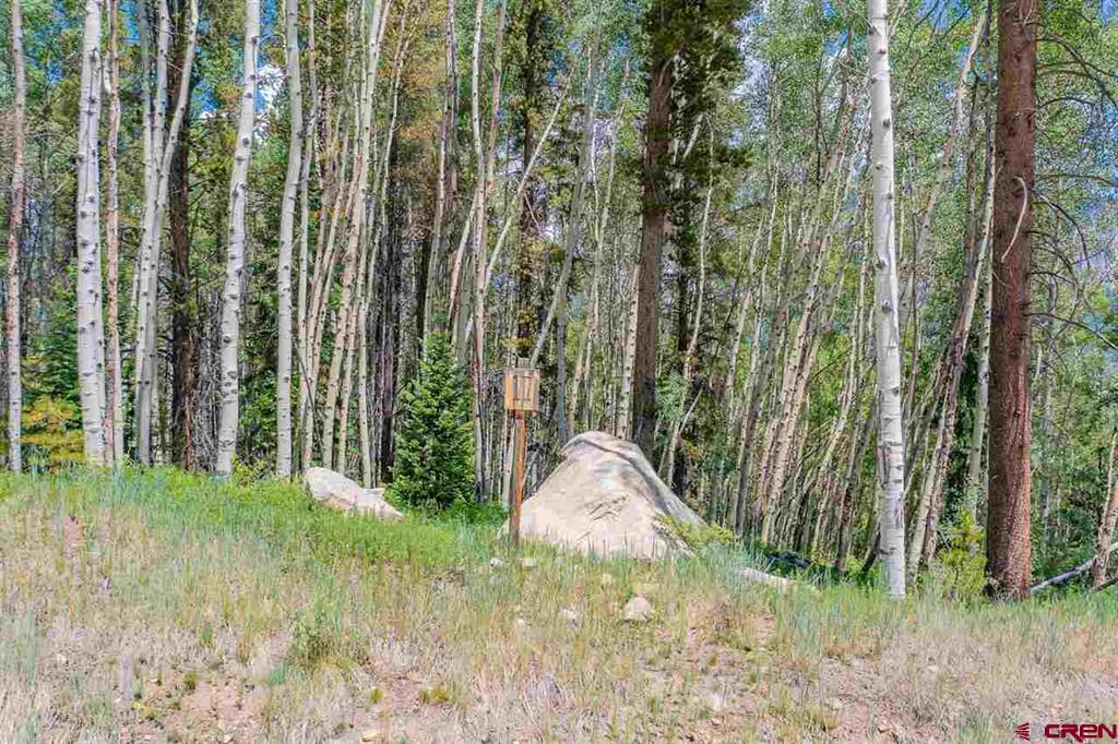 811 Hidden Mine Road