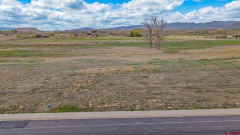 Photo of 20 Apple Grove Street, Montrose, CO 81401 (MLS # 838724)