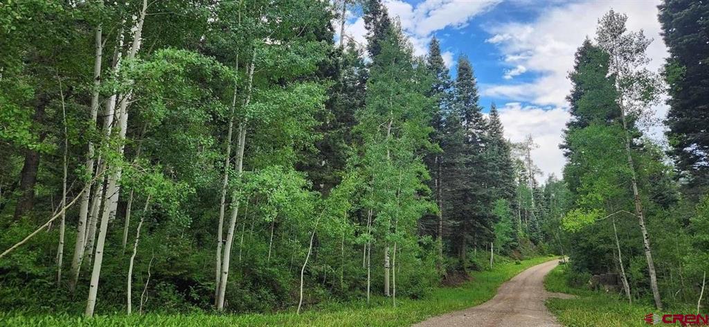 Photo 1 of 11 — 454 McCoy Creek, Durango, CO 81301