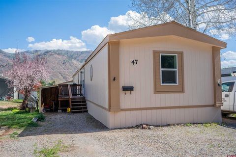Property photo of 6000 County Road 203 #47, Durango, CO 81301