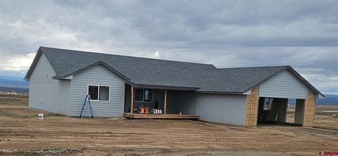 20194 Lilac Court Eckert CO 81418