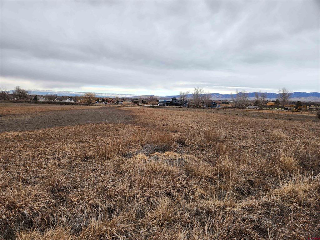 TBD Ogden Road