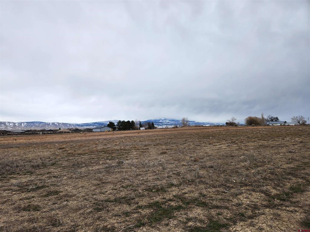 TBD Ogden Road