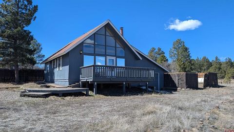 399 Grenadier Place Pagosa Springs CO 81147