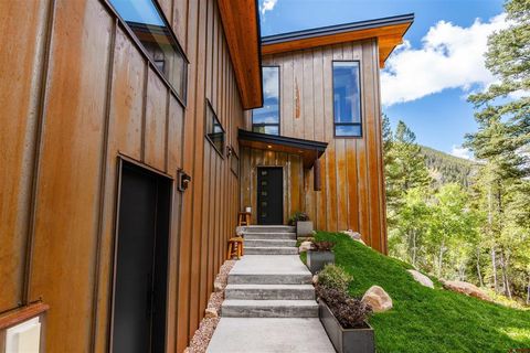 11336 County Road 742 Almont CO 81210