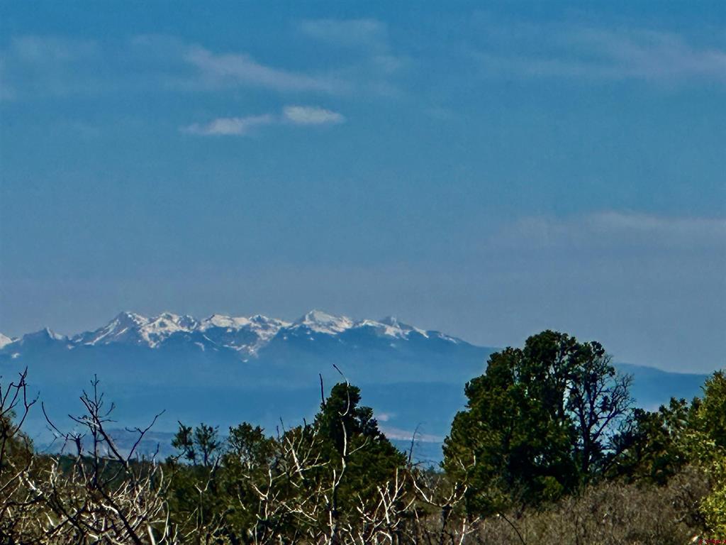 N Gurley Reserve