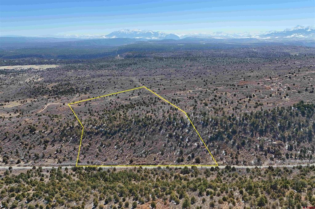 N Gurley Reserve