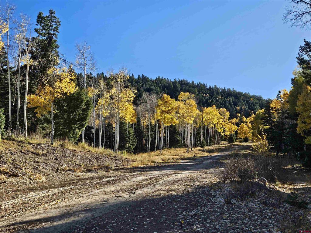 TBD Buckman Road