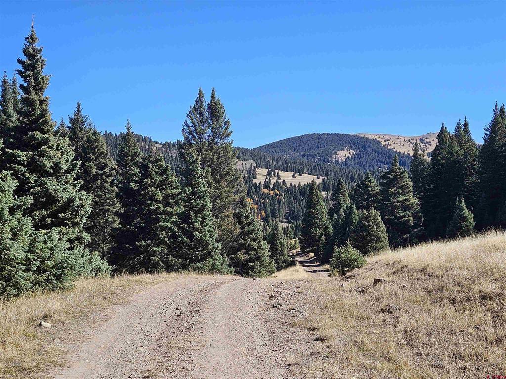 TBD Buckman Road