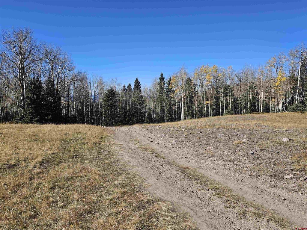 TBD Buckman Road