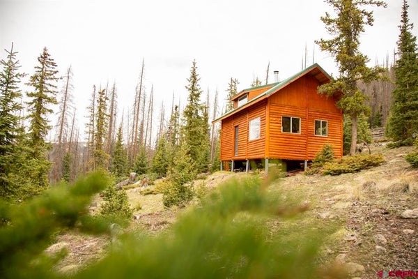 3190 FOREST RD #503, CREEDE, CO 81130 - Image 80a77e7c97ca482ed75cb614a45ff496/1001430357