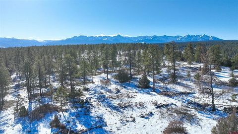 Photo of 695 Wireweed Lane, Montrose, CO 81403 (MLS # 831412)